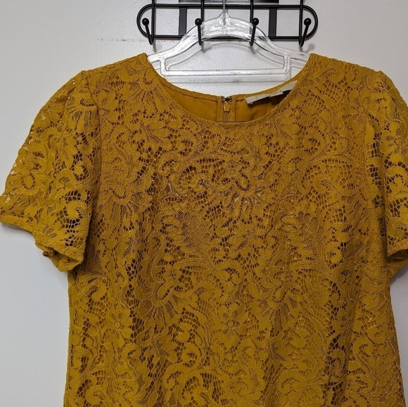 Loft Lace Shift Dress Sz 4 - Picture 3 of 11